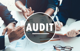 Breaking-Down-the-Importance-of-an-Audit-and-Assurance
